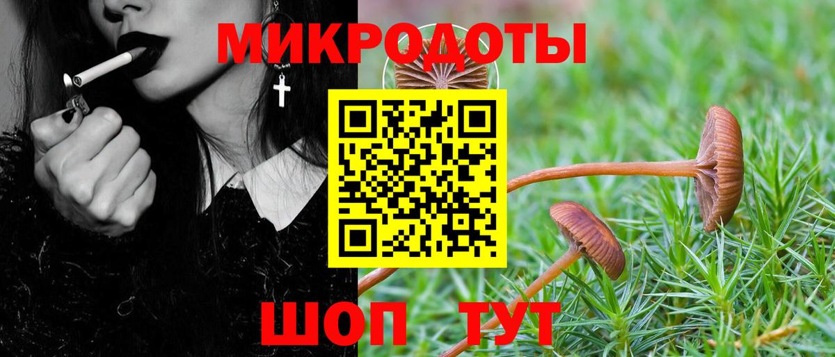 Галлюциногенные грибы Magic Shrooms Тихорецк