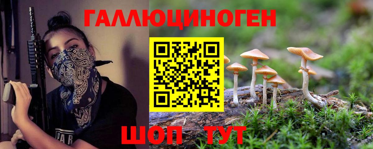 Галлюциногенные грибы GOLDEN TEACHER  Вход с VPN  где продают наркотики  Галлюциногенные грибы Magic Shrooms  Тихорецк 